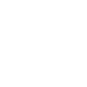 logo-evok