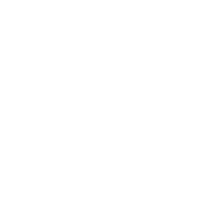 logo-pitaya
